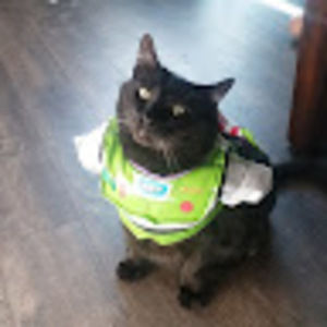 Meet your Posher, Jo